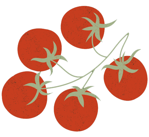 tomates-brasserie-chez-nono